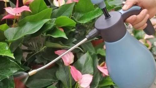 烂根|浇水前多做一件事,掌握盆土干湿程度,养花不烂根,个个猛开花!