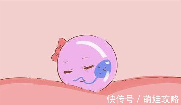 排卵|明明生过一胎,为什么二胎怀不上?