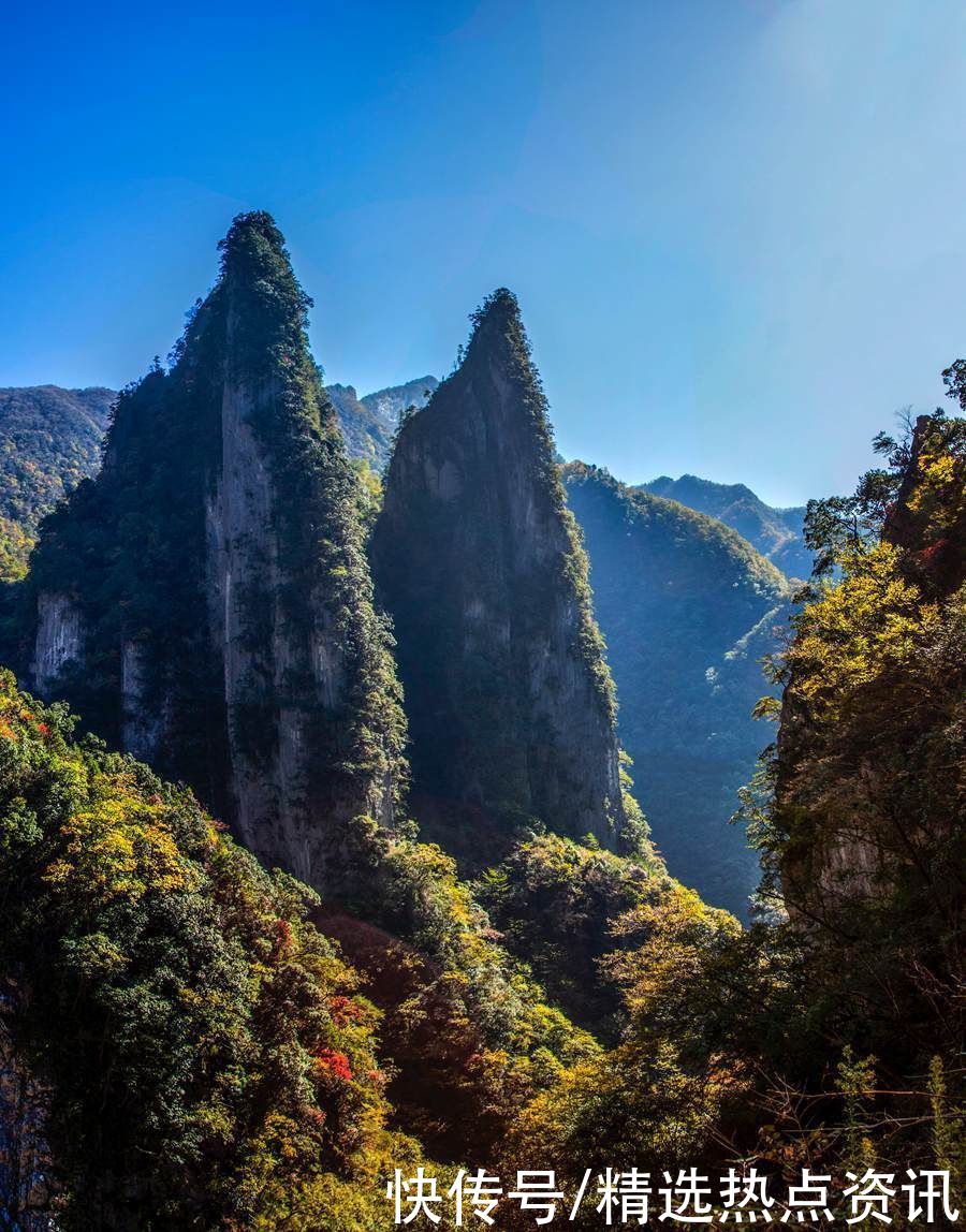 神农架|重庆五里坡成为世界自然遗产地