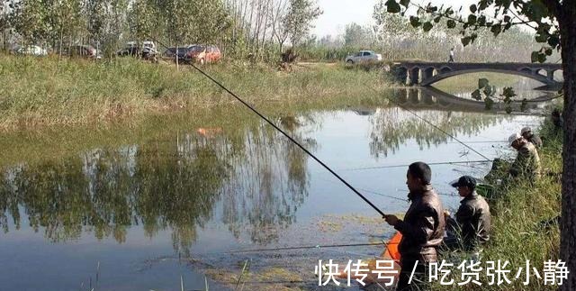 三个小时没鱼口,学会这两招,鱼口马上就不一样了
