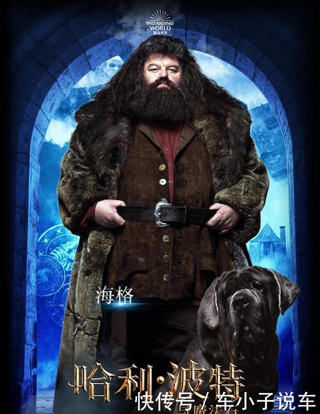 《哈利波特》二十周年纪念版封面大比拼,台版被批「太像宫崎骏」