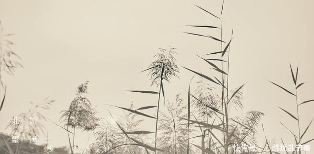 左宗棠|同为晚清重臣，曾国藩与左宗棠是如何树为一生之敌的！