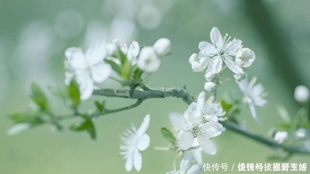 诗人$王维最感人的一首诗,句句都是千古名言,感动了历代无数的读者