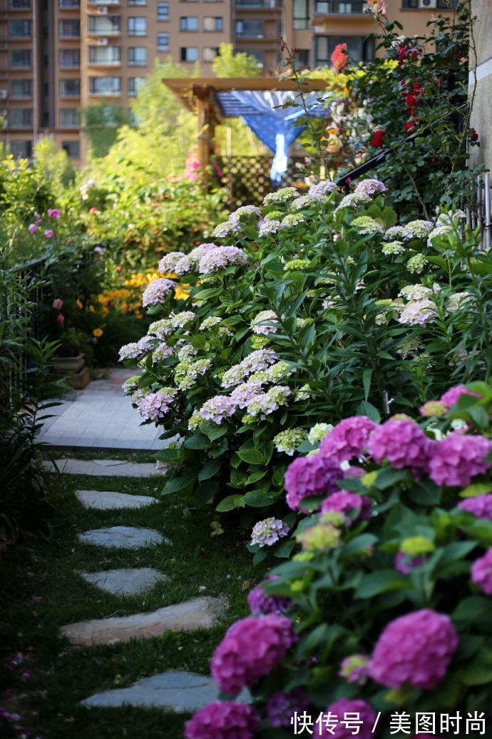 阳台上|为建花园,不顾反对买了一楼带院子,3年的亲手布置朋友都羡慕了