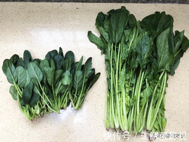 植物纤维|买菠菜时，选“长”还是选“短”的？牢记“3不买”，别随便买了