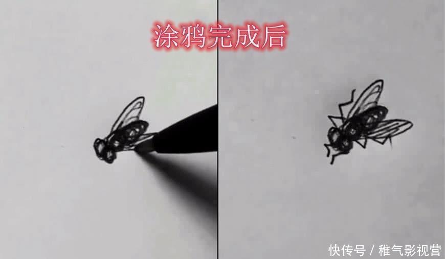 大佬!开始以为在胡乱涂鸦,当美术生画完后,网友对不起,打扰了