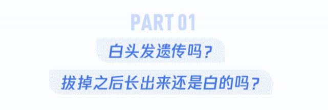  变白|白头发拔1根长10根？打工人的另一种忧伤是“白发恐慌”