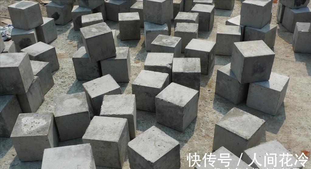 东涛|趣味冷知识分享,快来一起看看吧!