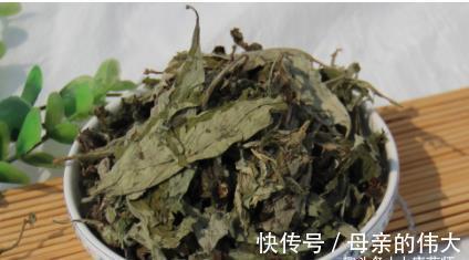 泡脚|小小艾草，5大功效！9个民间妙用方，横扫百病！收藏以备不时之需