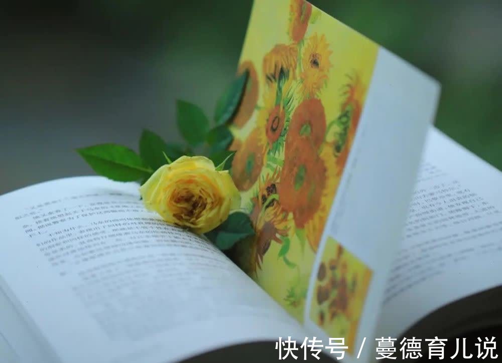 菊花茶|做人16贵,贵在善良;生活16好,好在心态