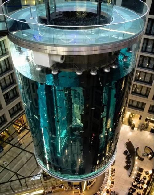 世界|为了吸引顾客，这家酒店在大厅建了全球最大鱼缸，斥资高达1亿