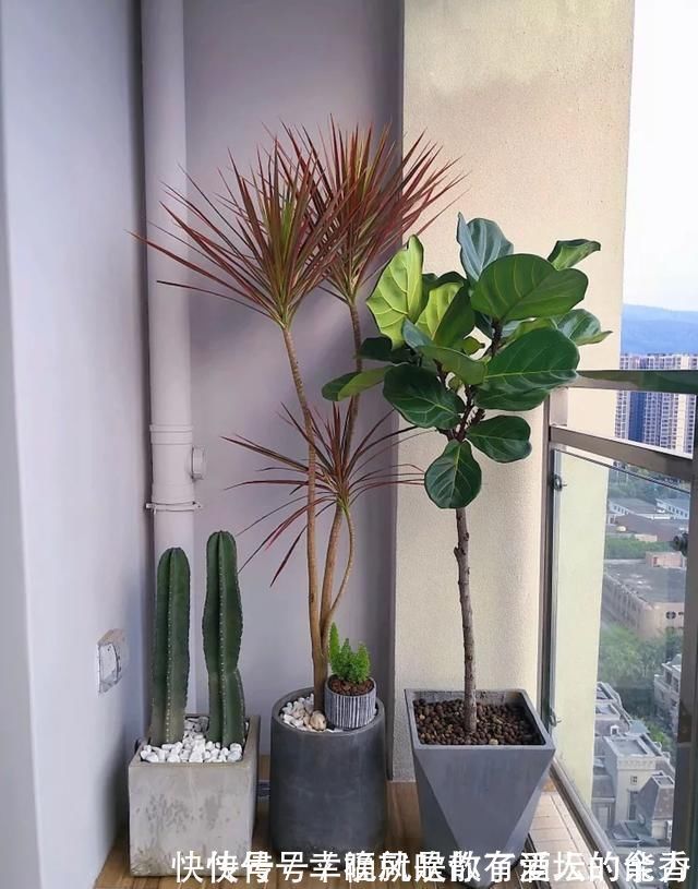 红砖|如今谁还砌红砖包阳台排水管，直接裹一圈麻绳，成本2块钱不到
