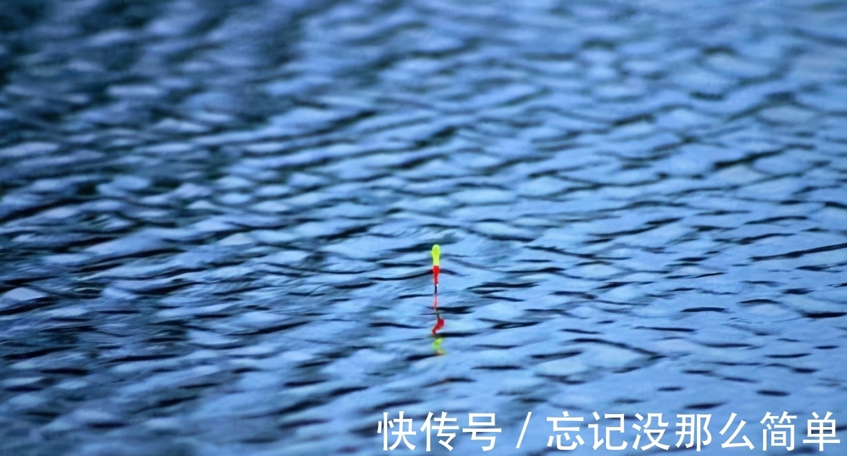 鱼口杂乱无实口，调低钓高这么调，马上竿竿都是死口