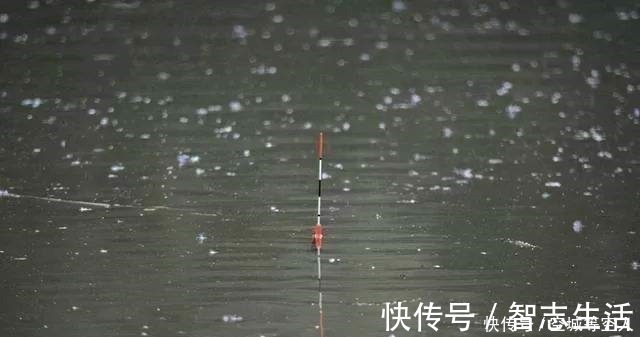 立漂|不知道用七星漂还是立漂,看完这篇就知道了