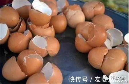 土壤|4种垃圾不会分类别担心,埋在花盆底,叶子绿得直滴油!