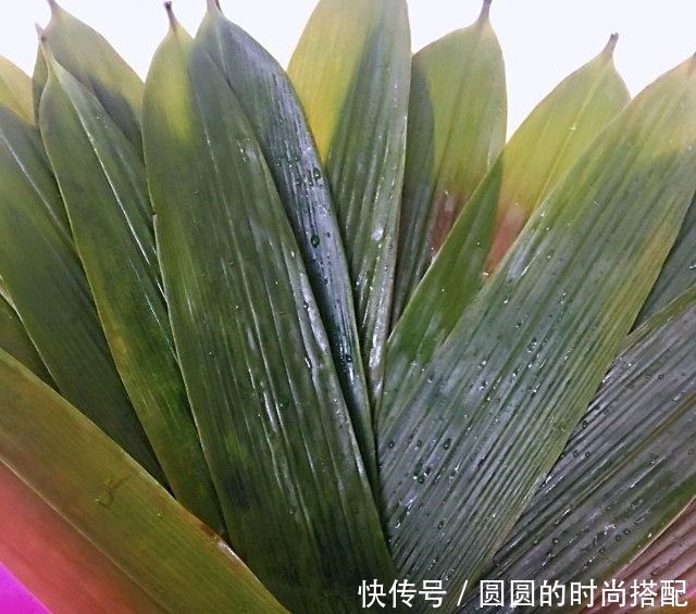 粽香糯米鸡，香香糯糯，太好吃了！