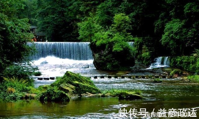 虫子|如何让孩子远离手机,这几乎是唯一的方式