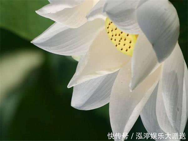 老公|老公属此3个生肖,一生操心少,享福多,越过越幸福