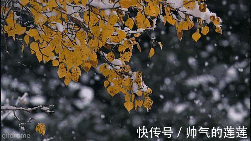 雪景|惊艳！平凉迎来入秋第一场雪，刷爆朋友圈！