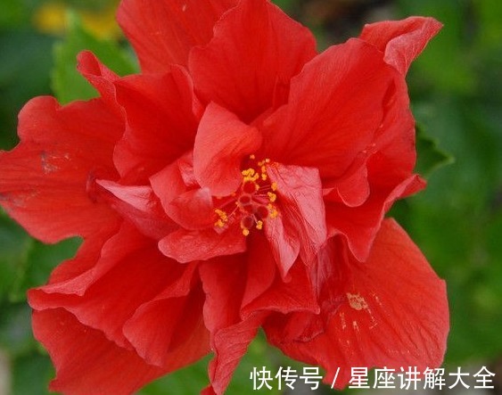 大涨|8月下旬，吉星照耀，4属相桃花朵朵，财运大涨，生活幸福甜蜜