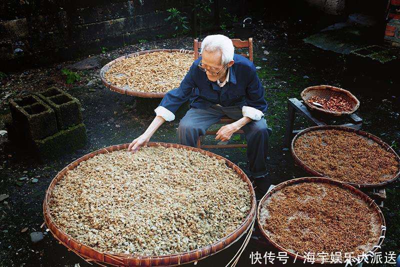 退休老药师“以筋治筋”的方子!一味药,治周身筋骨疼,请你品味