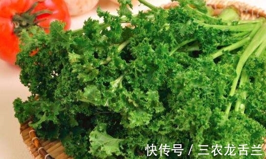 农村种菜 想要种植好苔菜 苔菜的品种选择及栽培季节选择最关键 快资讯 农村种菜 想要种植好苔菜 苔菜的品种选择及栽培季节选择最关键 快资讯