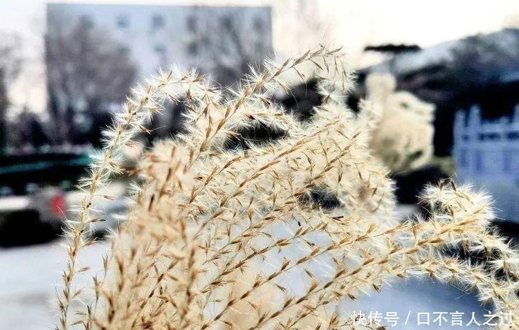 故里|看点丨狄仁杰故里