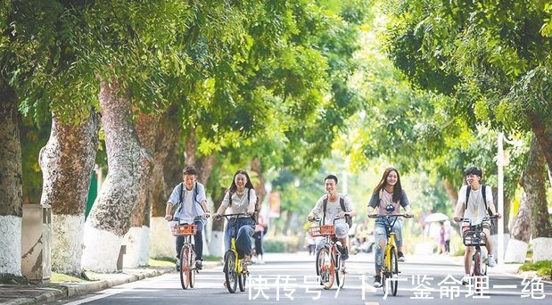 辛丑|财官为用神旺的命格,做事老诚个性强,注定人生富贵有保障