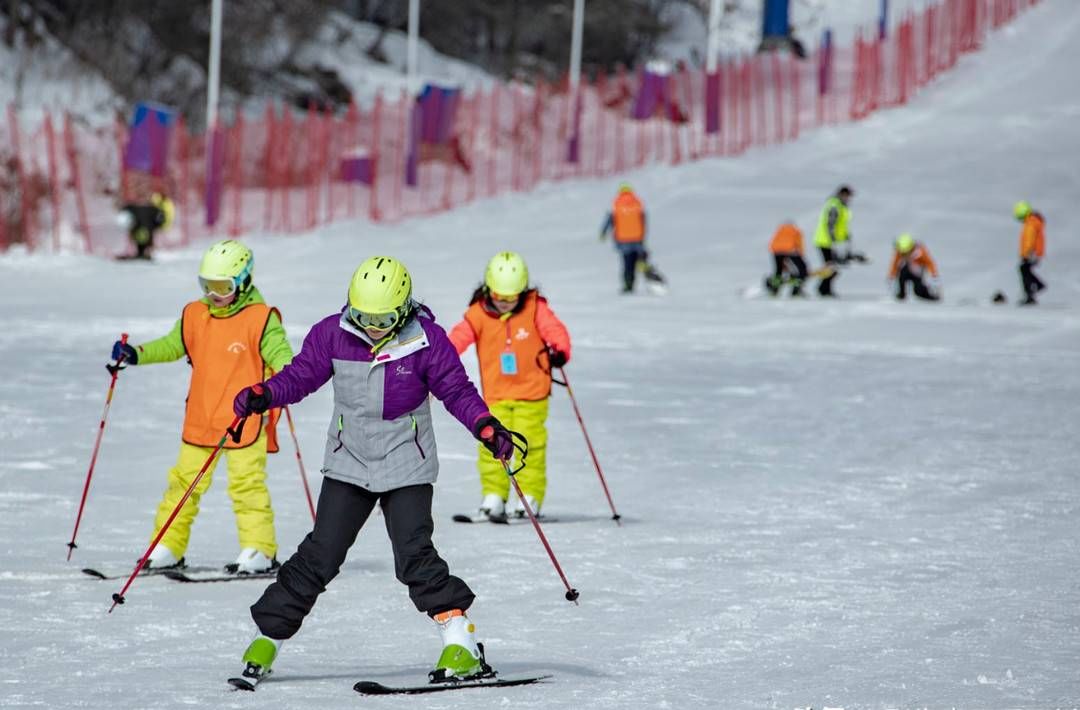 雪地|探访四川阿坝孟屯河谷滑雪场 380米滑雪道让游客尽情穿梭