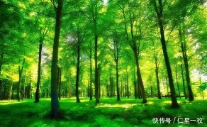 净空法师:布施跟供养不一样在哪里?