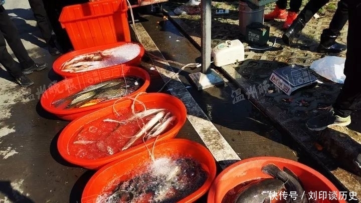 柴油|所有人注意:这种鱼千万不要买,太害人!