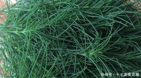 荒野|農村荒野這些野菜，嫩莖葉可清炒，野香十足，好吃又防病治?。?
onload=