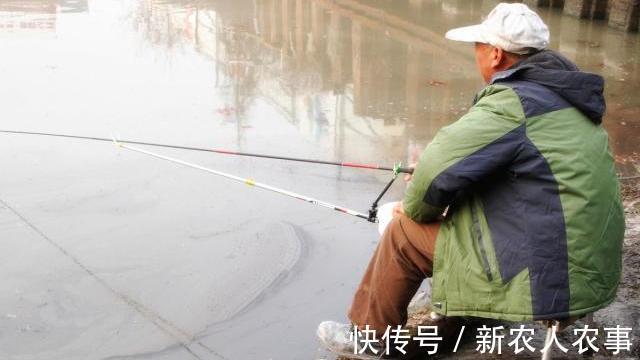 钓友|河北一男子野钓渔获蛇皮袋装,妻子却全部送邻居,网友:适当索取