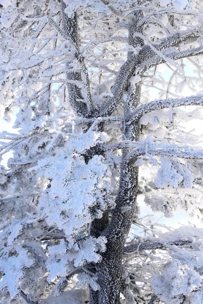 世界那么大，到峨眉山滑雪去！