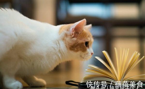 |幽默笑话:趁着醉意,俺壮着胆子向女主管表白了,结果被当场拒绝