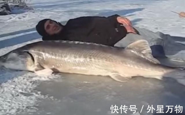 冰面|奇闻:男子冰面上凿了一个洞,从里面拉出来的东西够买辆兰博基尼