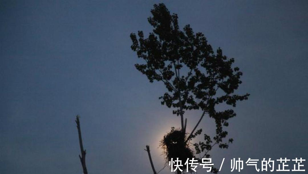 袁中道#明朝才子袁中道一首抒情诗,只有短短的20个字,却美得令人心醉!