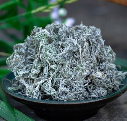 茵陈|中药古今研究：茵陈