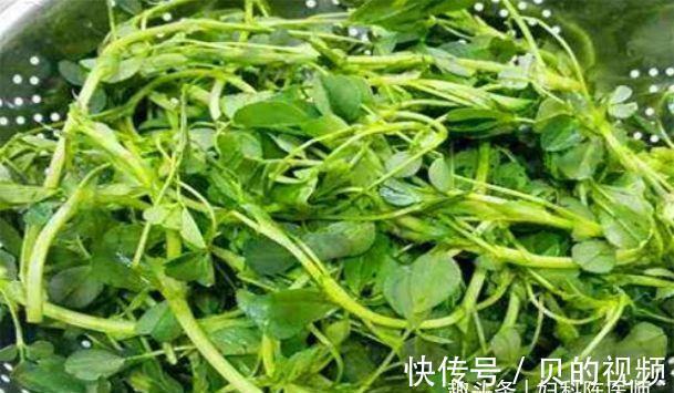 陈医师|女性担心老太快,常吃的食物,美容养颜、排毒抗衰,润肠通便