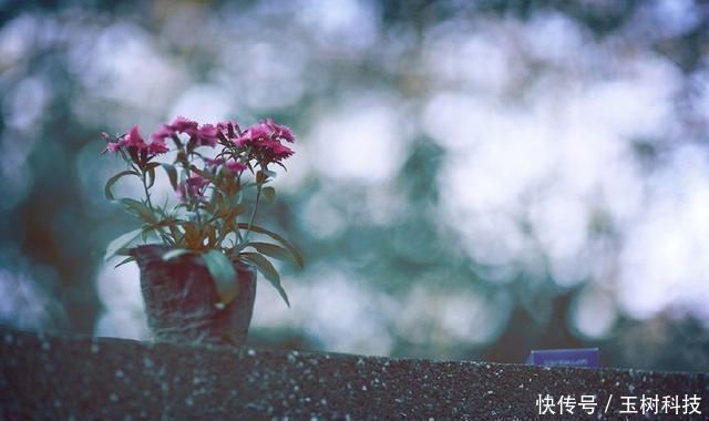 修养|一个人能做到这四点,不富就是贵,一定有伟大的成就