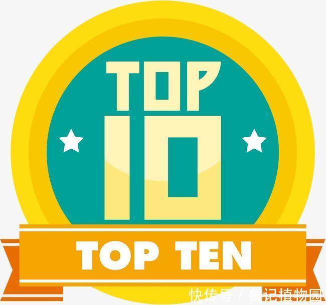 行业|中国红柳枝烧烤针行业top10商家排名分析