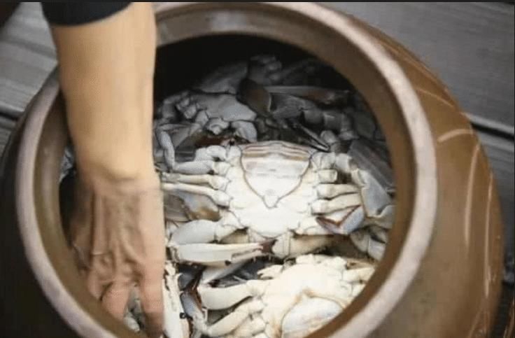 败家媳妇不听劝,把20斤梭子蟹扔缸里,不加一滴水,7天后取出全家都愣住了