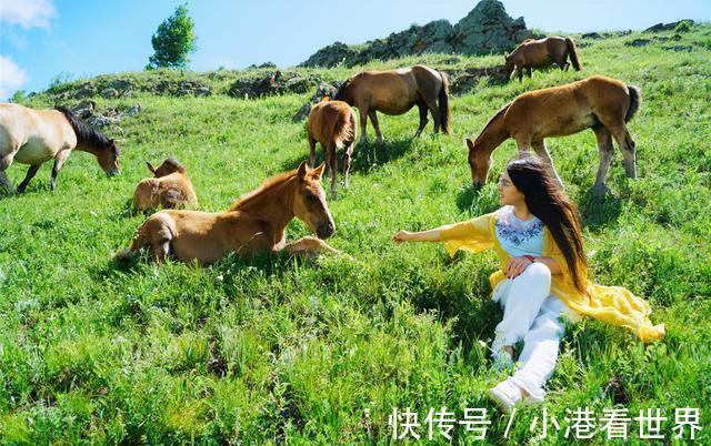 京北|中国避暑的首选目的地，自驾爱好者的天堂，一路风景如画