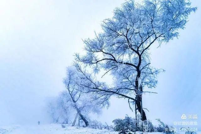 童话|冰天雪地，童话吉林