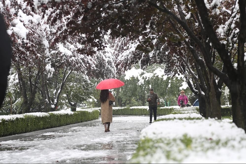 银装|下雪啦！全国多地迎入秋以来首场降雪