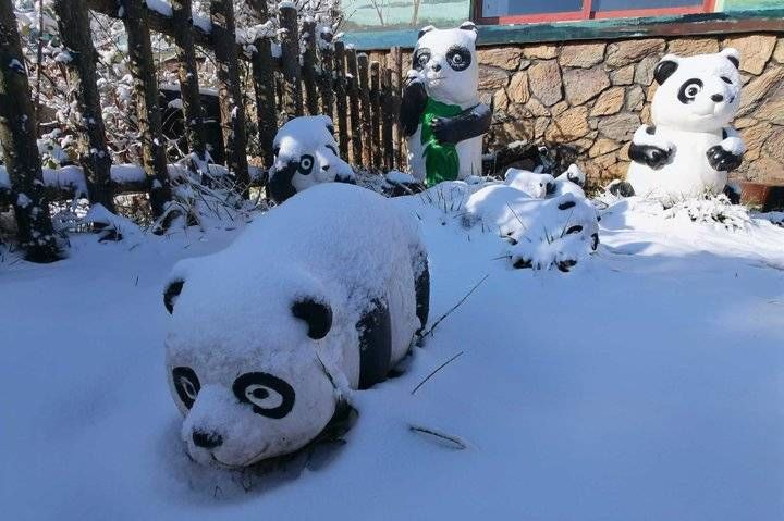 钟福生|齐鲁雪乡跑马岭景区昨晚下雪了