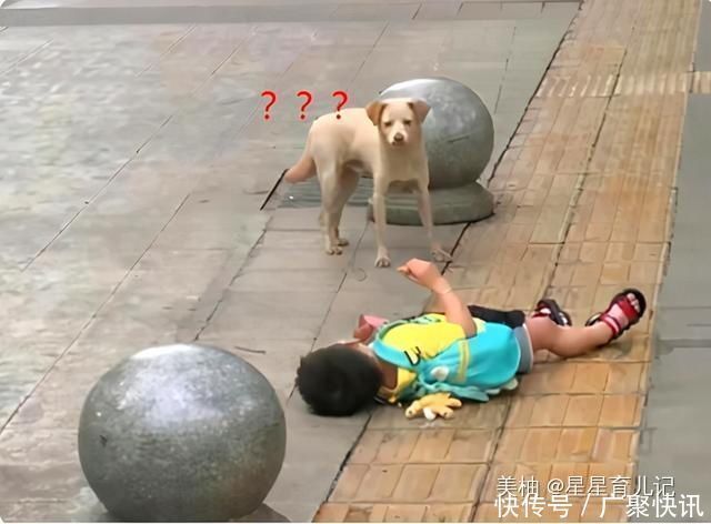 家长|孩子撒泼打滚已经没用了,90后父母育儿观:我就是这么过来的