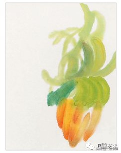 教程@图文教程——芭蕉画法