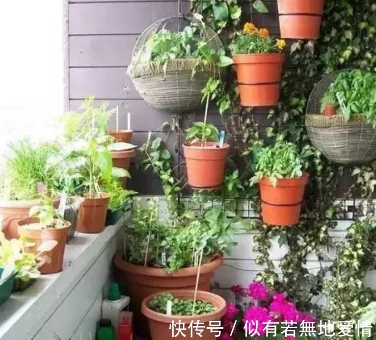 养花三到五天浇一水,你要这么做,那你的花就别想要了