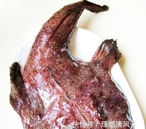 它因味道鲜美，被人称为“海中鹅肝”，确因长相遭人嫌弃！